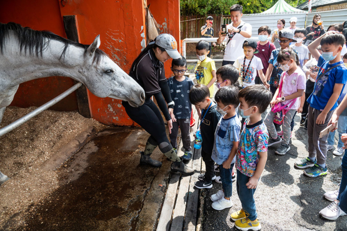 Kids learning about horses at stable